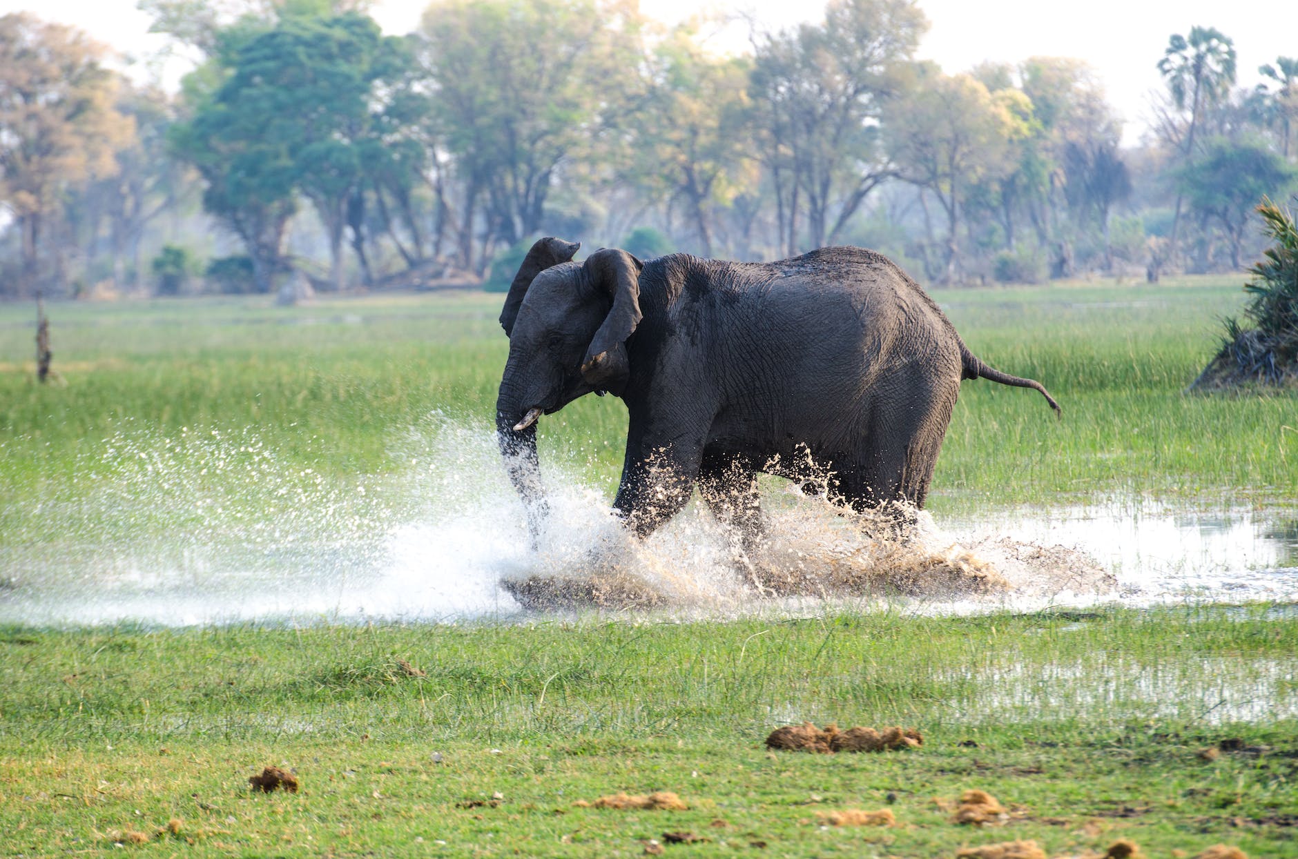 When to Stop Running Away