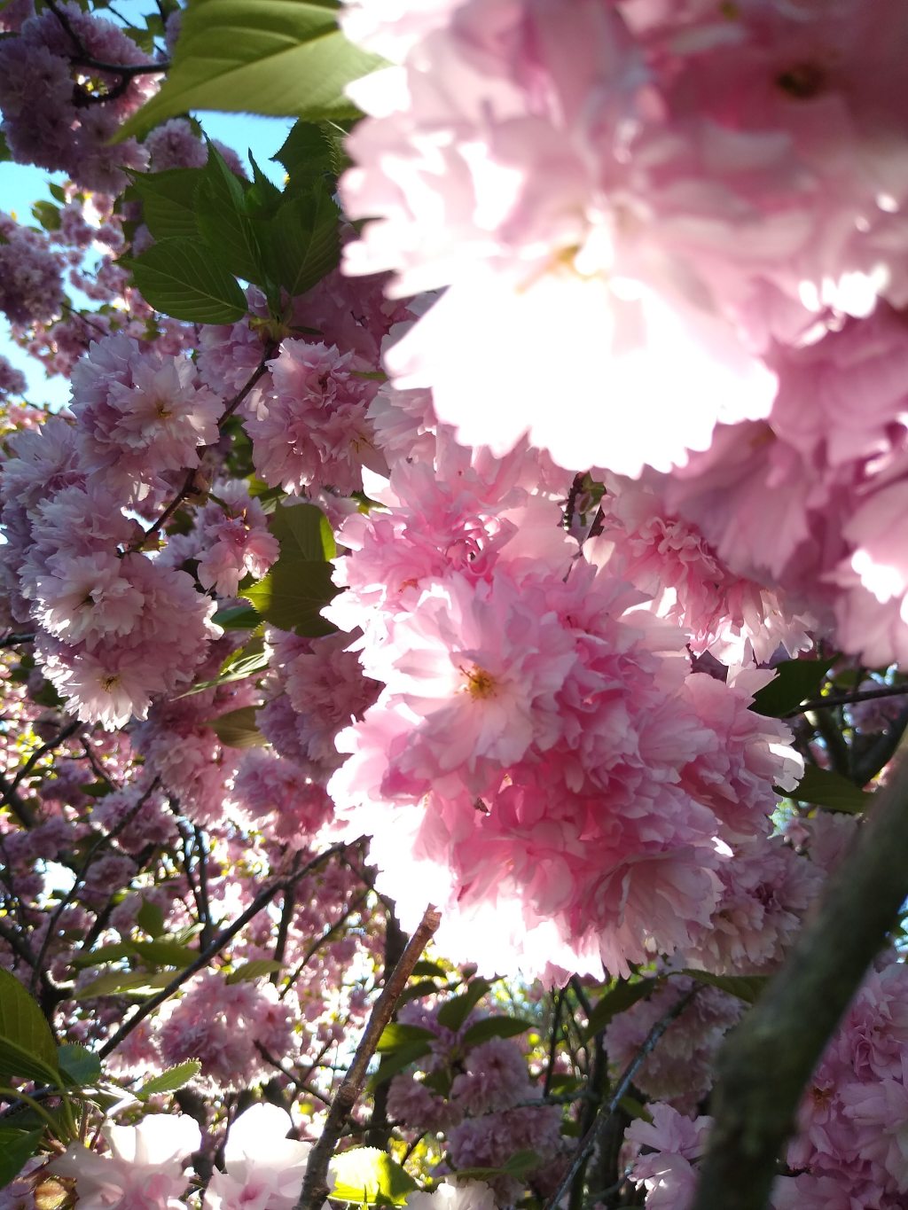 in love with the sound of soft