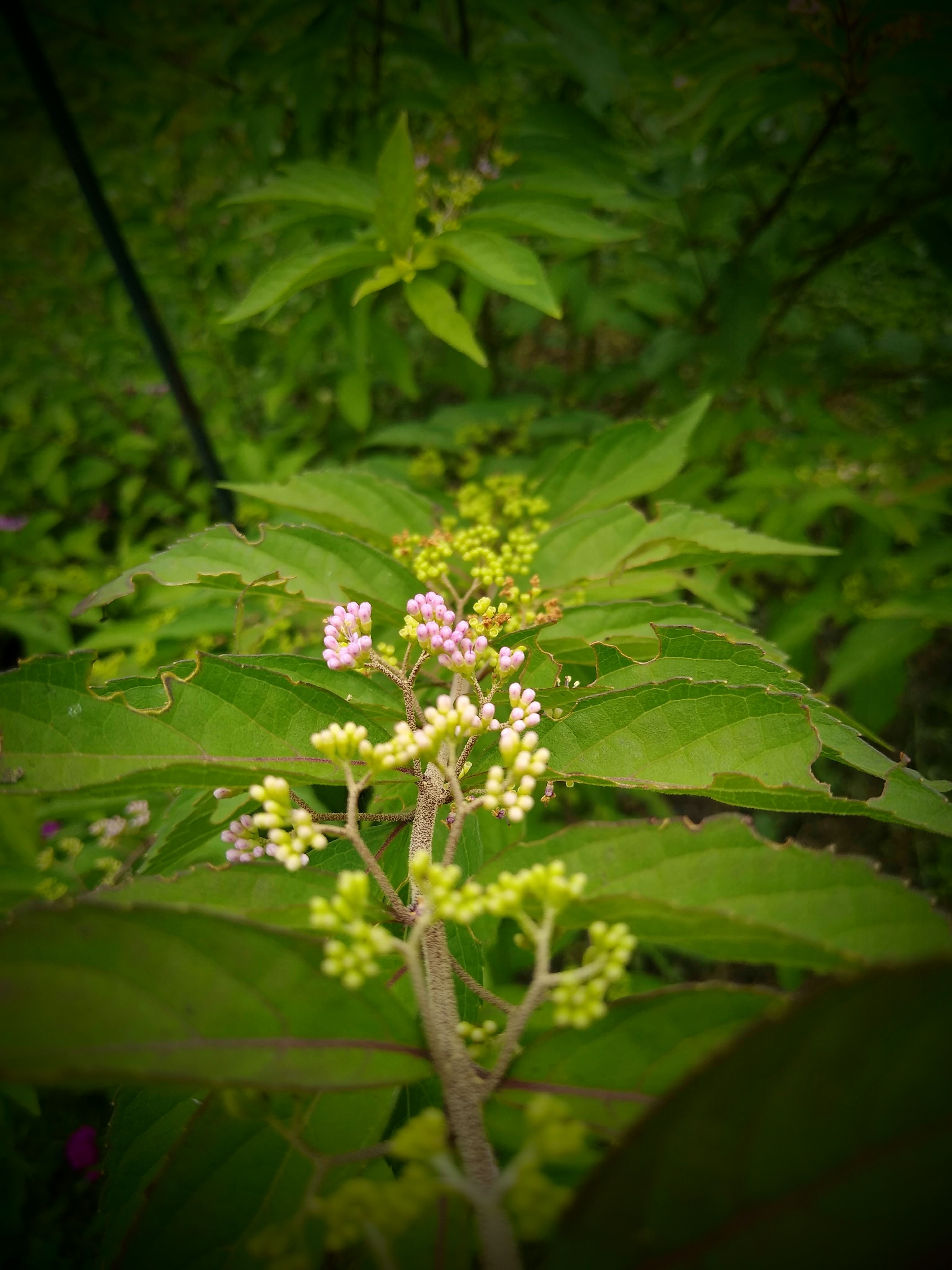 What Can Be Accomplished In One Life?