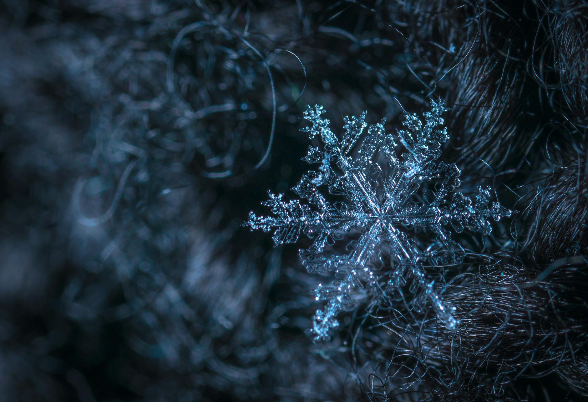 Scattered Snowflake Thoughts