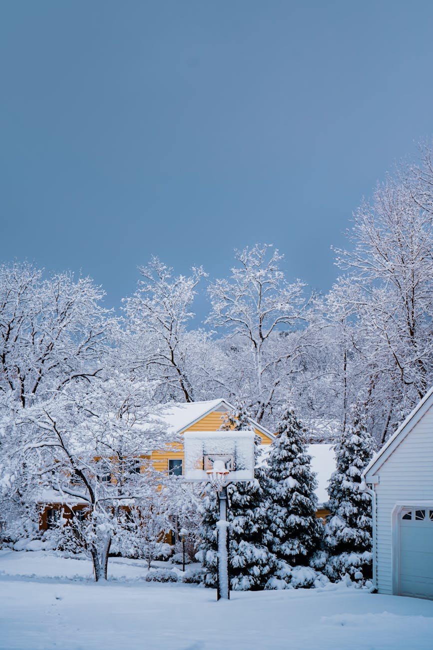 The Promise of Bluebirds & Plans of Sunflowers